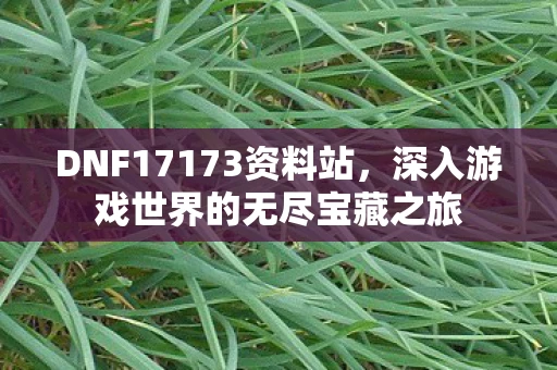 DNF17173资料站，深入游戏世界的无尽宝藏之旅