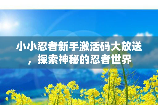 小小忍者新手激活码大放送，探索神秘的忍者世界