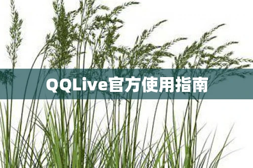 QQLive官方使用指南