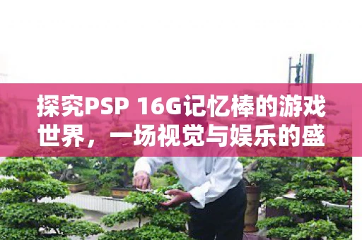 探究PSP 16G记忆棒的游戏世界，一场视觉与娱乐的盛宴