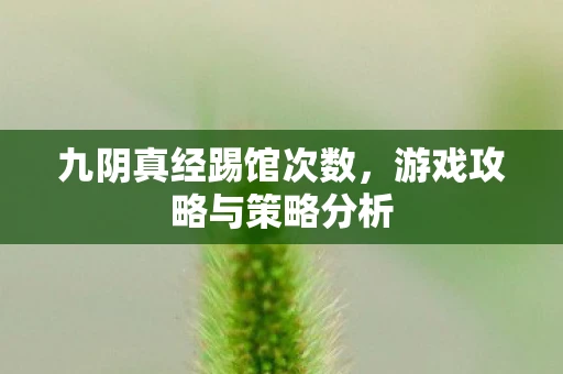 九阴真经踢馆次数，游戏攻略与策略分析