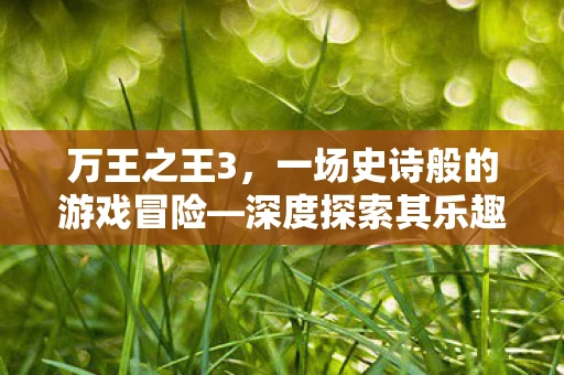 万王之王3，一场史诗般的游戏冒险—深度探索其乐趣所在