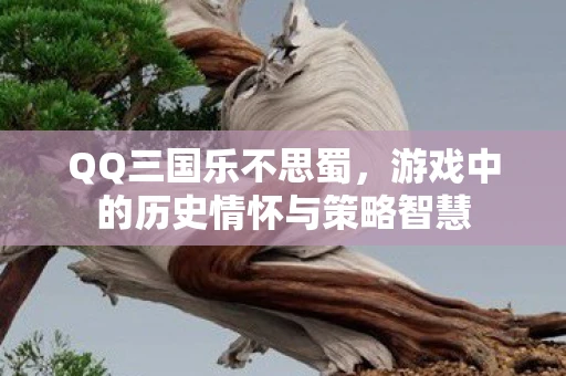 QQ三国乐不思蜀，游戏中的历史情怀与策略智慧