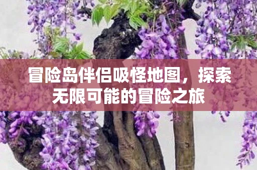 冒险岛伴侣吸怪地图，探索无限可能的冒险之旅