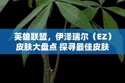 皮肤大盘点 探寻最佳皮肤图片