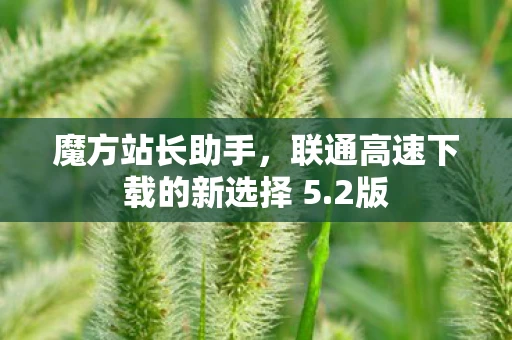 魔方站长助手，联通高速下载的新选择 5.2版