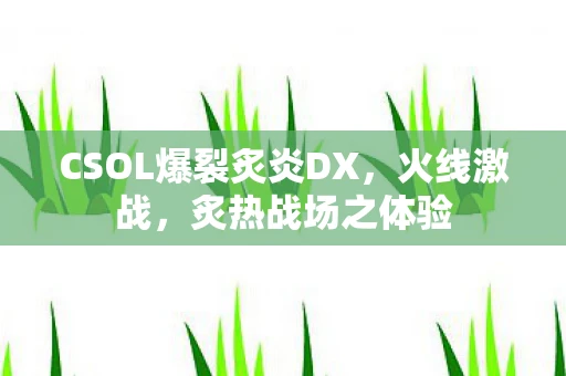 CSOL爆裂炙炎DX，火线激战，炙热战场之体验