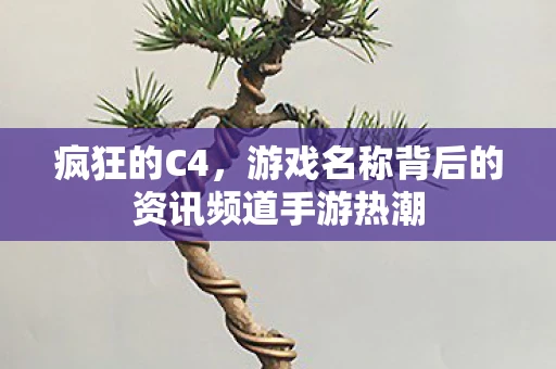 疯狂的C4，游戏名称背后的资讯频道手游热潮