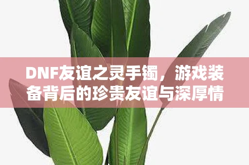 DNF友谊之灵手镯，游戏装备背后的珍贵友谊与深厚情感