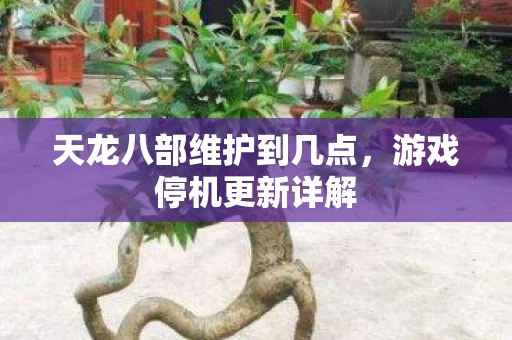 天龙八部维护到几点，游戏停机更新详解