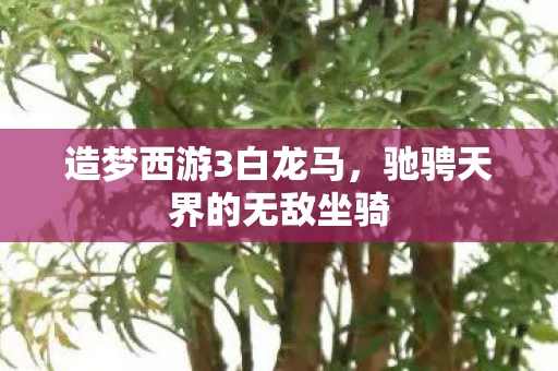 造梦西游3白龙马，驰骋天界的无敌坐骑
