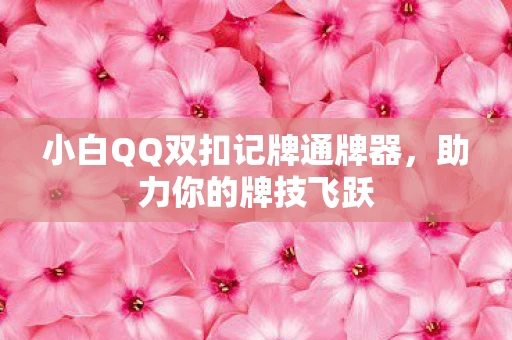 小白QQ双扣记牌通牌器，助力你的牌技飞跃