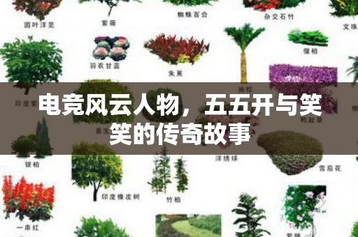 五五开与笑笑的传奇故事图片