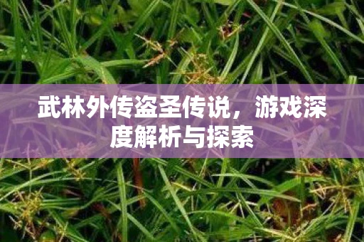 武林外传盗圣传说，游戏深度解析与探索