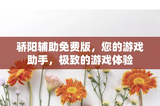 骄阳辅助免费版，您的游戏助手，极致的游戏体验