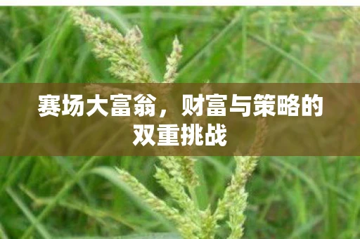 赛场大富翁，财富与策略的双重挑战