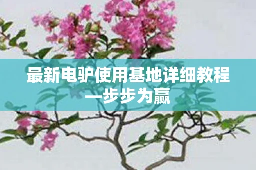 最新电驴使用基地详细教程—步步为赢
