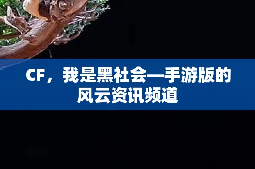CF，我是黑社会—手游版的风云资讯频道
