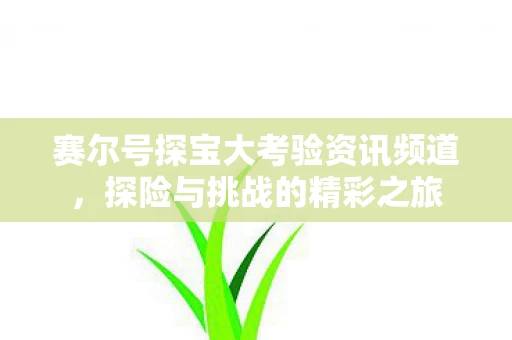 赛尔号探宝大考验资讯频道，探险与挑战的精彩之旅