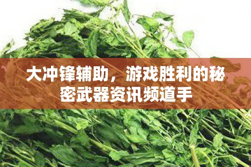 大冲锋辅助，游戏胜利的秘密武器资讯频道手