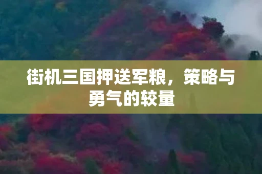 街机三国押送军粮，策略与勇气的较量