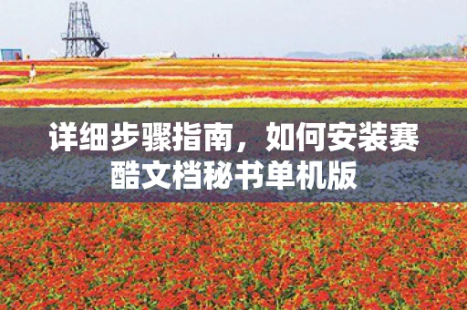 详细步骤指南，如何安装赛酷文档秘书单机版