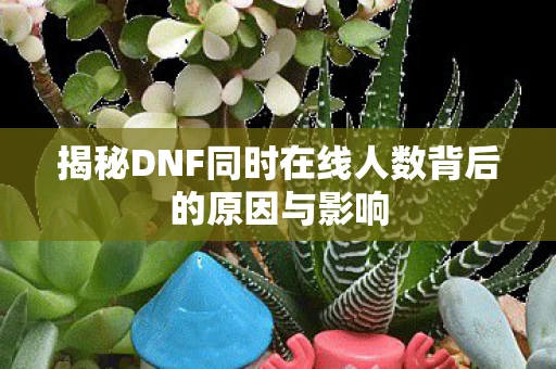 揭秘DNF同时在线人数背后的原因与影响