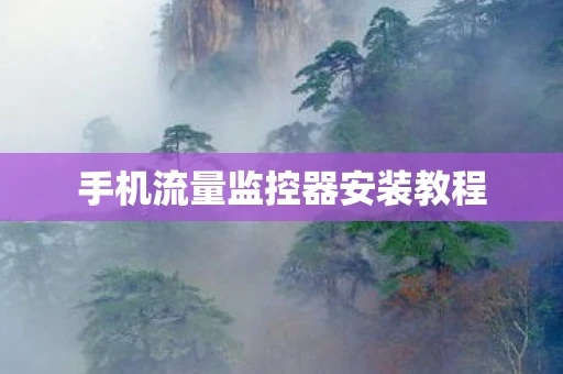 手机流量监控器安装教程