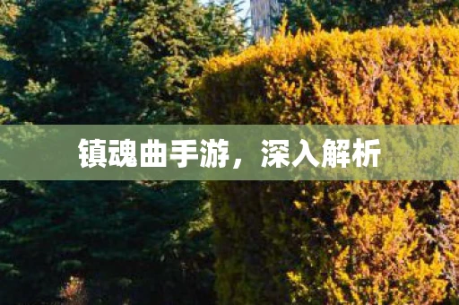 镇魂曲手游，深入解析