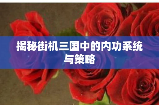 揭秘街机三国中的内功系统与策略