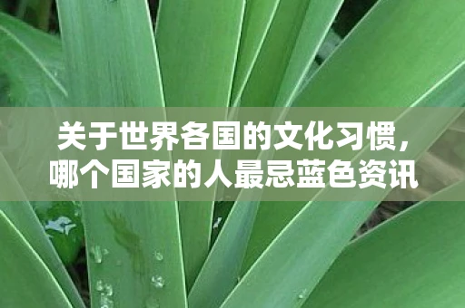 关于世界各国的文化习惯，哪个国家的人最忌蓝色资讯频道手游？