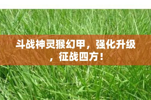 斗战神灵猴幻甲，强化升级，征战四方！