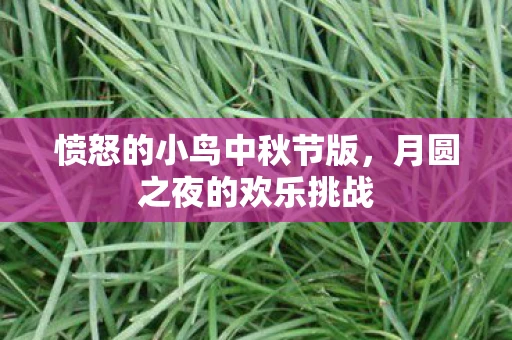 愤怒的小鸟中秋节版，月圆之夜的欢乐挑战