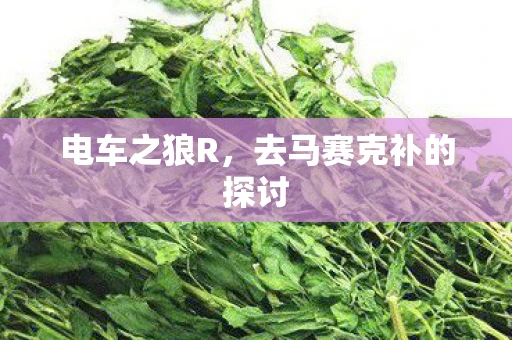 电车之狼R，去马赛克补的探讨