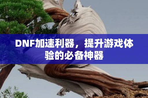 DNF加速利器，提升游戏体验的必备神器