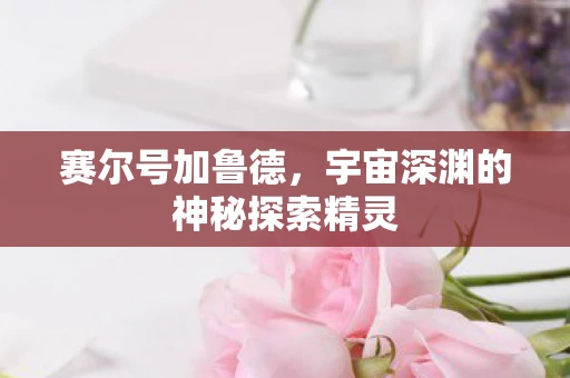 赛尔号加鲁德，宇宙深渊的神秘探索精灵