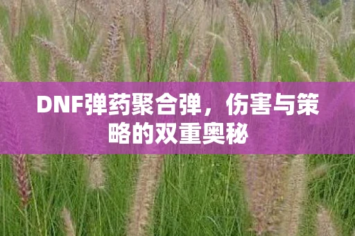 DNF弹药聚合弹，伤害与策略的双重奥秘