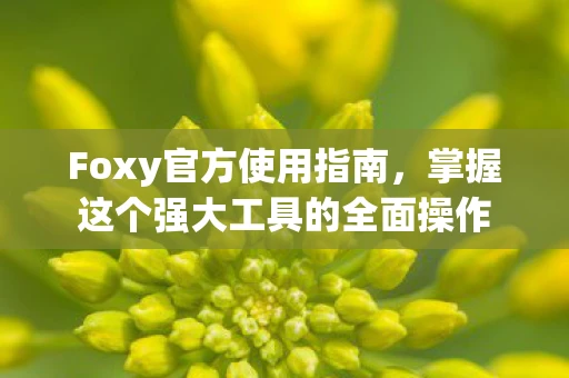 Foxy官方使用指南，掌握这个强大工具的全面操作