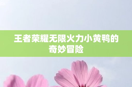 王者荣耀无限火力小黄鸭的奇妙冒险图片