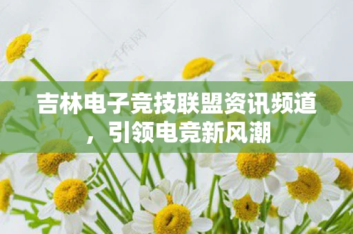 吉林电子竞技联盟资讯频道，引领电竞新风潮