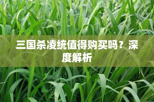 三国杀凌统值得购买吗？深度解析