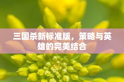 三国杀新标准版，策略与英雄的完美结合