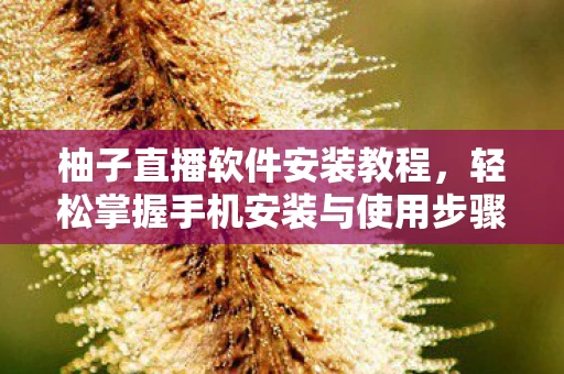 轻松掌握手机安装与使用步骤图片