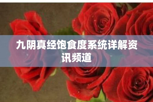九阴真经饱食度系统详解资讯频道