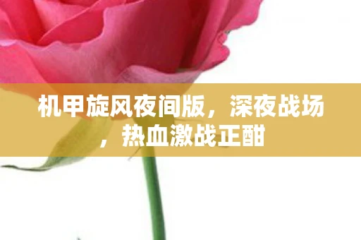 机甲旋风夜间版，深夜战场，热血激战正酣