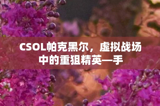 CSOL帕克黑尔，虚拟战场中的重狙精英—手