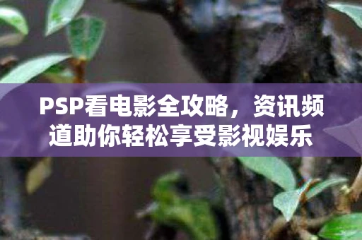 PSP看电影全攻略，资讯频道助你轻松享受影视娱乐