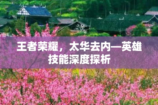 英雄技能深度探析图片