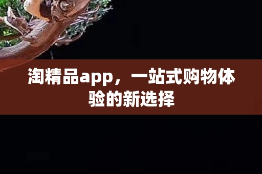 淘精品app，一站式购物体验的新选择