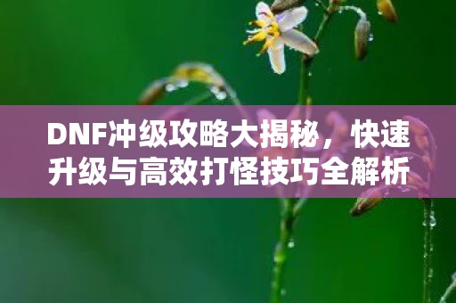 DNF冲级攻略大揭秘，快速升级与高效打怪技巧全解析